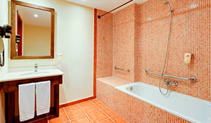/content/rooms/StandardHotelElPaso/hotel-el-paso-habitacion-standard-04