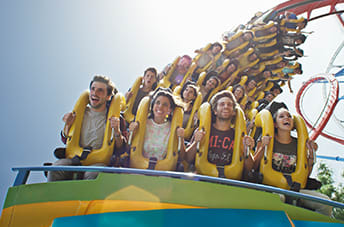 Furius baco